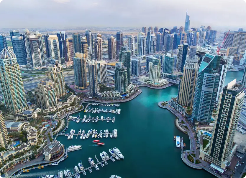 Booming Market & Development